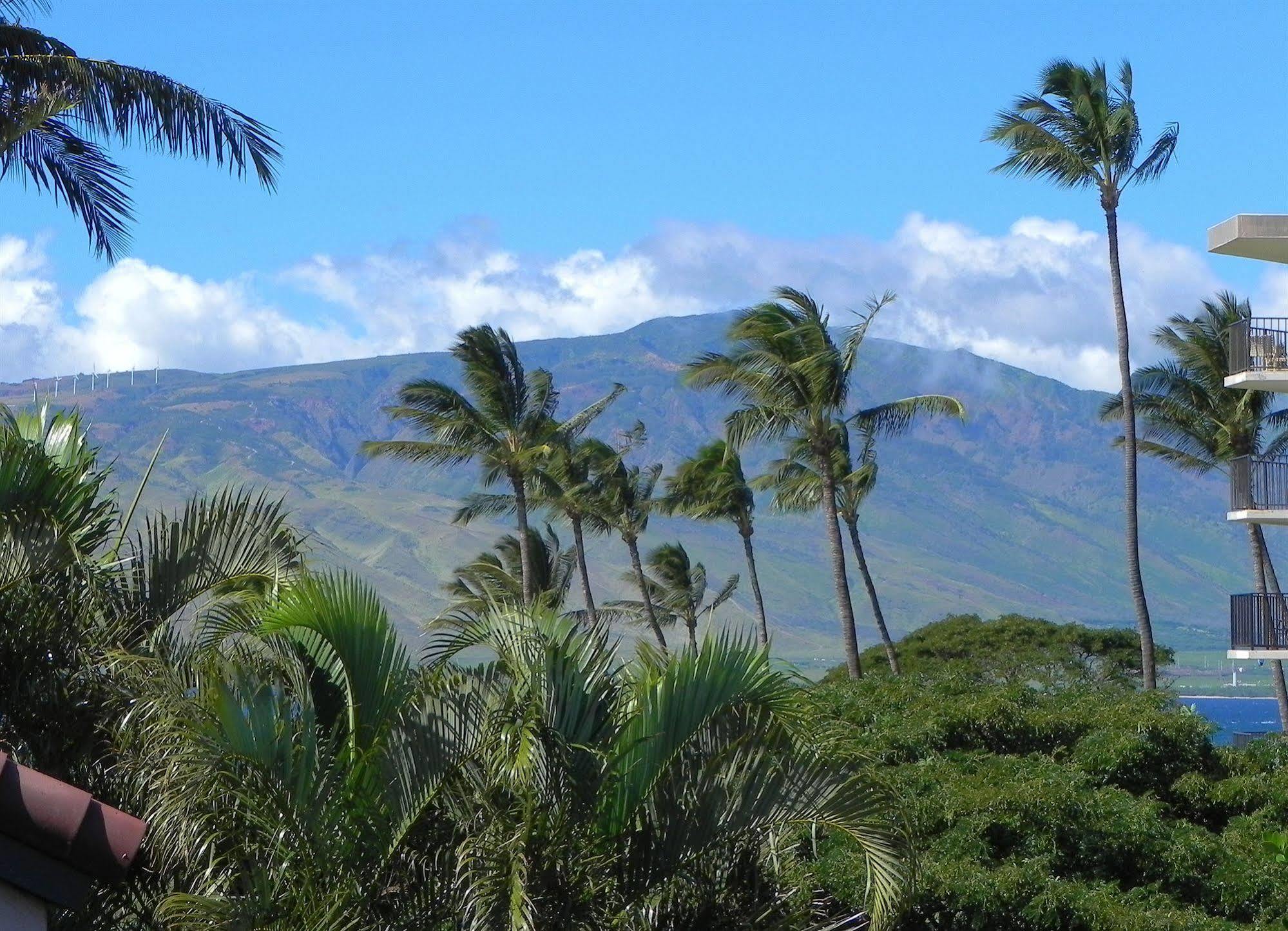 Luana Kai Resort Kihei Eksteriør bilde